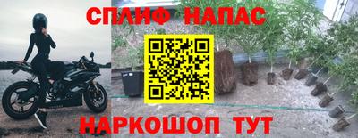 шишки Пугачёв
