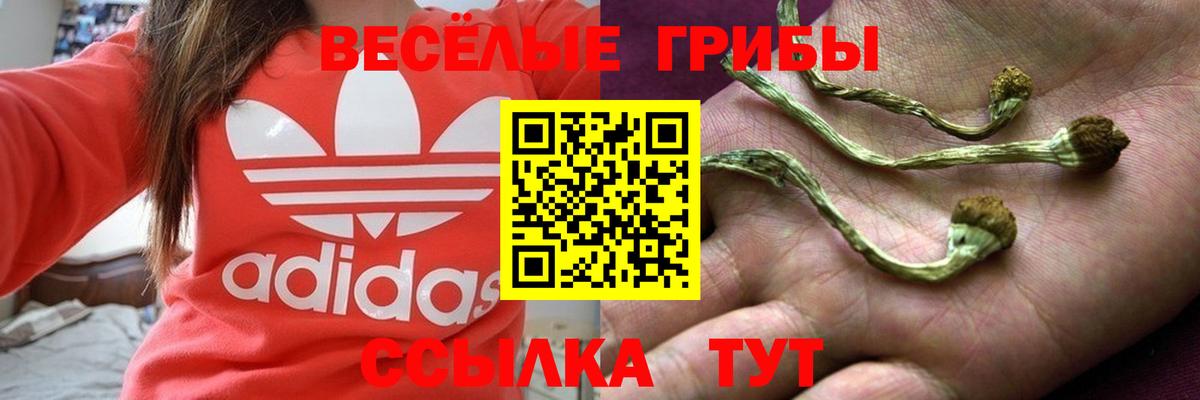 Псилоцибиновые грибы MAGIC MUSHROOMS  Вход с VPN  Псилоцибиновые грибы Psilocybine cubensis  Севастополь 
